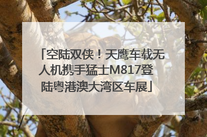 空陆双侠！天鹰车载无人机携手猛士M817登陆粤港澳大湾区车展