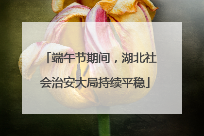 端午节期间，湖北社会治安大局持续平稳