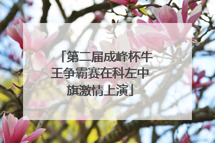 第二届成峰杯牛王争霸赛在科左中旗激情上演