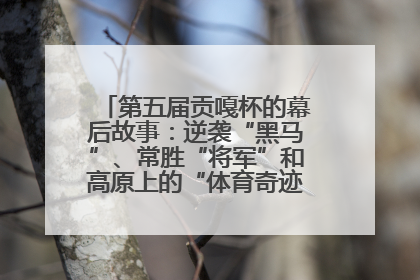 第五届贡嘎杯的幕后故事：逆袭“黑马”、常胜“将军”和高原上的“体育奇迹”丨微纪录