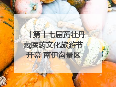 第十七届黄牡丹藏医药文化旅游节开幕 南伊沟景区重新开放