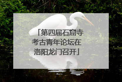 第四届石窟寺考古青年论坛在洛阳龙门召开