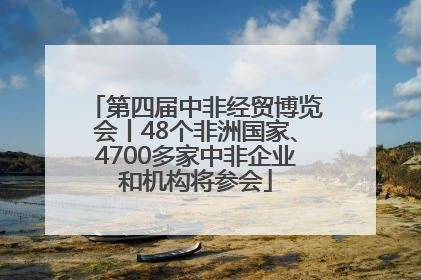 第四届中非经贸博览会丨48个非洲国家、4700多家中非企业和机构将参会