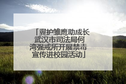 翼护雏鹰助成长 武汉市司法局何湾强戒所开展禁毒宣传进校园活动