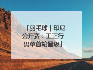 羽毛球｜印尼公开赛：王正行男单首轮晋级