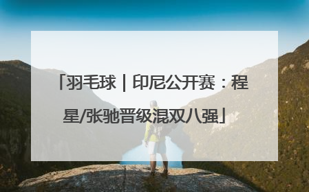 羽毛球｜印尼公开赛：程星/张驰晋级混双八强