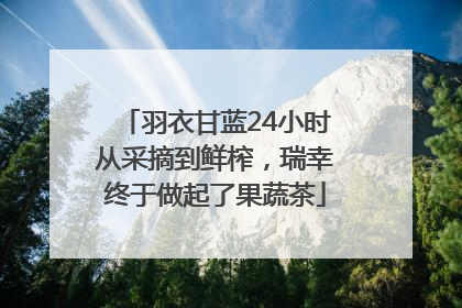 羽衣甘蓝24小时从采摘到鲜榨，瑞幸终于做起了果蔬茶