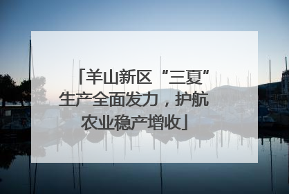 羊山新区“三夏”生产全面发力，护航农业稳产增收
