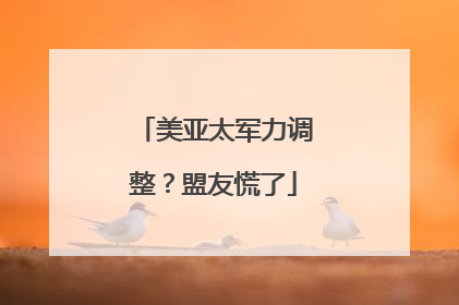 美亚太军力调整？盟友慌了