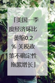 美国一季度经济环比萎缩0.2% 关税政策不确定性拖累增长