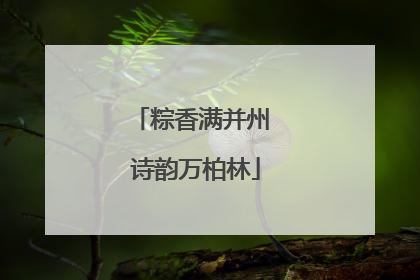 粽香满并州 诗韵万柏林
