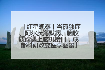 红星观察丨当孤独症、阿尔茨海默病、脑胶质瘤遇上脑机接口，成都科研改变医学图景