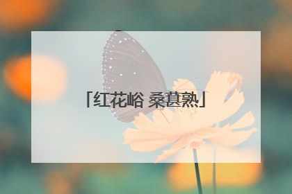红花峪 桑葚熟