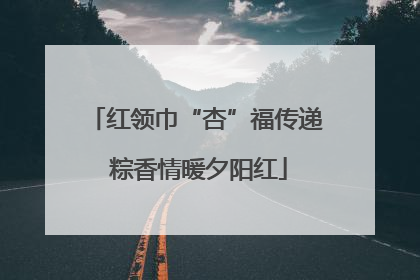 红领巾“杏”福传递 粽香情暖夕阳红