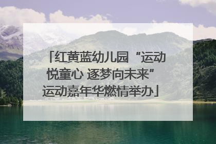 红黄蓝幼儿园“运动悦童心 逐梦向未来”运动嘉年华燃情举办