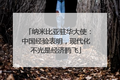 纳米比亚驻华大使：中国经验表明，现代化不光是经济腾飞