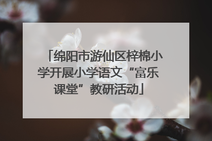 绵阳市游仙区梓棉小学开展小学语文“富乐课堂”教研活动