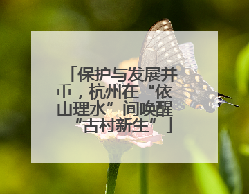 保护与发展并重，杭州在“依山理水”间唤醒“古村新生”