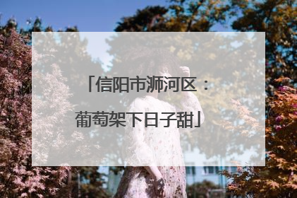 信阳市浉河区：葡萄架下日子甜