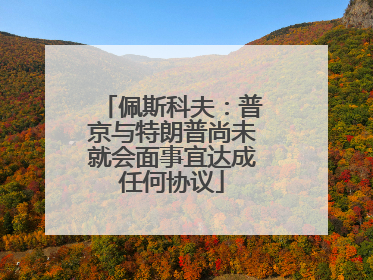 佩斯科夫：普京与特朗普尚未就会面事宜达成任何协议