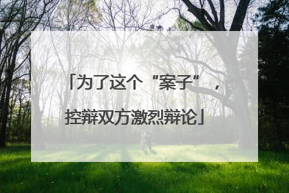 为了这个“案子”，控辩双方激烈辩论