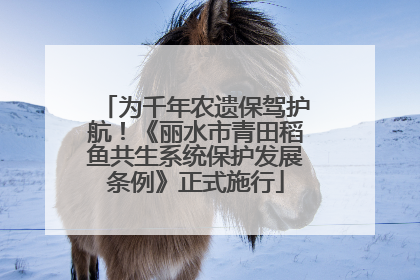 为千年农遗保驾护航！《丽水市青田稻鱼共生系统保护发展条例》正式施行