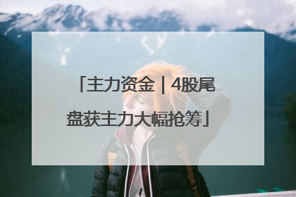 主力资金｜4股尾盘获主力大幅抢筹