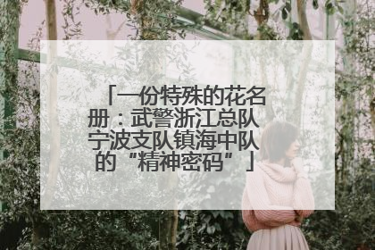 一份特殊的花名册：武警浙江总队宁波支队镇海中队的“精神密码”