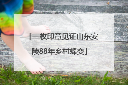 一枚印章见证山东安陵88年乡村蝶变