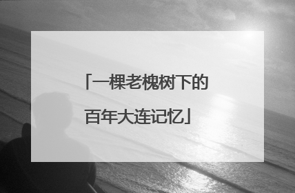 一棵老槐树下的百年大连记忆