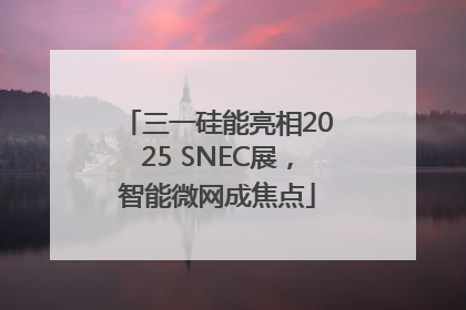 三一硅能亮相2025 SNEC展，智能微网成焦点