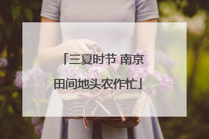 三夏时节 南京田间地头农作忙