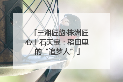 三湘匠韵·株洲匠心丨石天宝：稻田里的“追梦人”