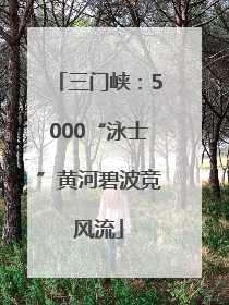 三门峡：5000“泳士”黄河碧波竞风流
