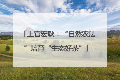 上官宏耿：“自然农法”培育“生态好茶”