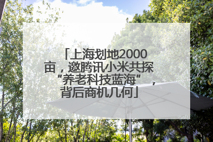 上海划地2000亩，邀腾讯小米共探“养老科技蓝海”，背后商机几何