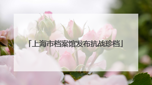 上海市档案馆发布抗战珍档