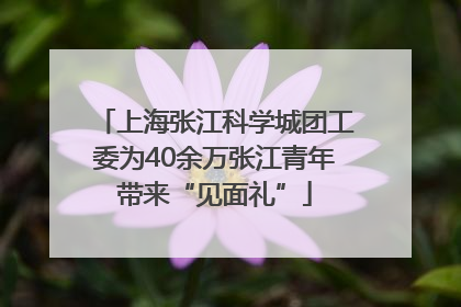 上海张江科学城团工委为40余万张江青年带来“见面礼”