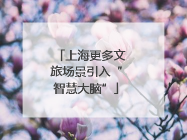 上海更多文旅场景引入“智慧大脑”