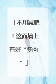 不用减肥！这面墙上有好“多肉”