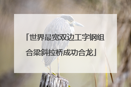 世界最宽双边工字钢组合梁斜拉桥成功合龙