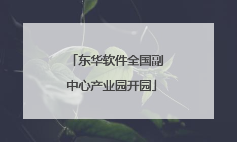 东华软件全国副中心产业园开园