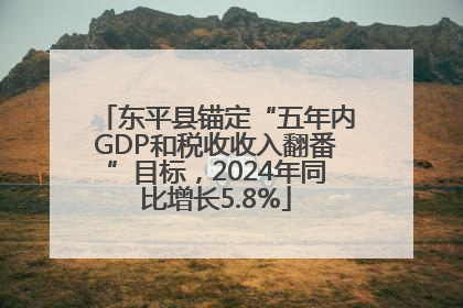 东平县锚定“五年内GDP和税收收入翻番”目标，2024年同比增长5.8%