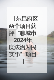 东昌府区两个项目获评“聊城市2024年度法治为民实事”项目