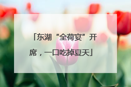 东湖“全荷宴”开席，一口吃掉夏天