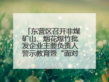 东营区召开非煤矿山、烟花爆竹批发企业主要负责人警示教育暨“面对面”谈话会议