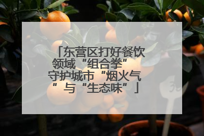东营区打好餐饮领域“组合拳” 守护城市“烟火气”与“生态味”