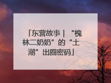 东营故事｜“槐林二奶奶”的“土潮”出圈密码