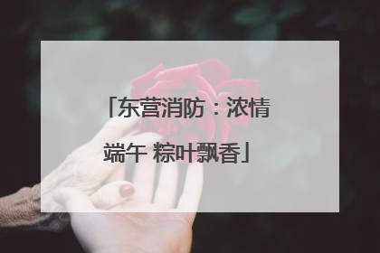 东营消防：浓情端午 粽叶飘香