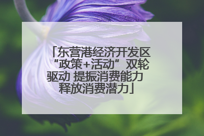 东营港经济开发区“政策+活动”双轮驱动 提振消费能力 释放消费潜力